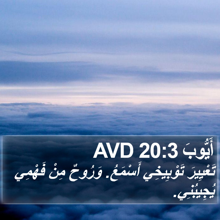 أَيُّوبَ 20:3 AVD Bible Study