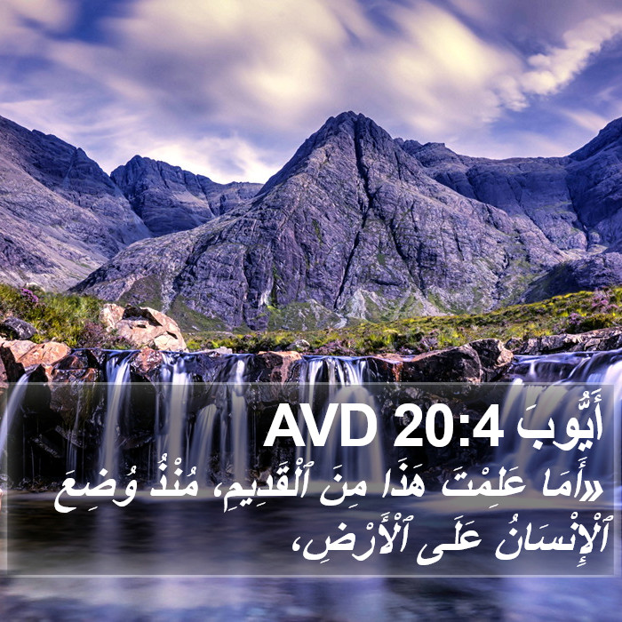 أَيُّوبَ 20:4 AVD Bible Study