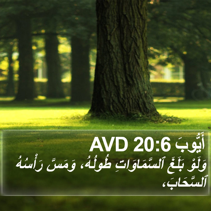 أَيُّوبَ 20:6 AVD Bible Study