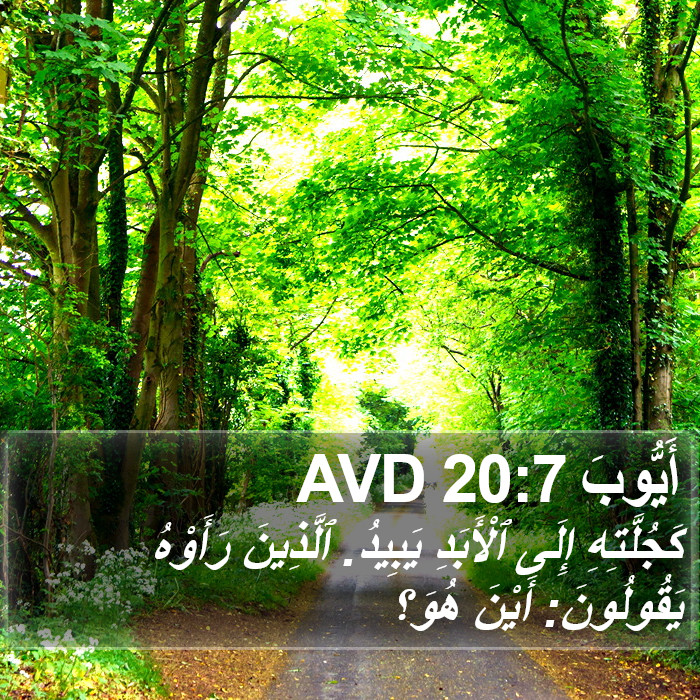 أَيُّوبَ 20:7 AVD Bible Study