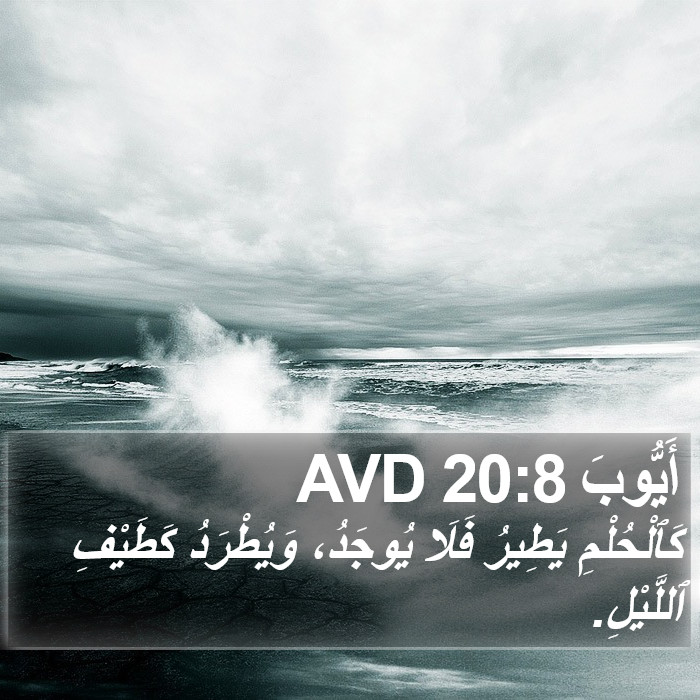 أَيُّوبَ 20:8 AVD Bible Study