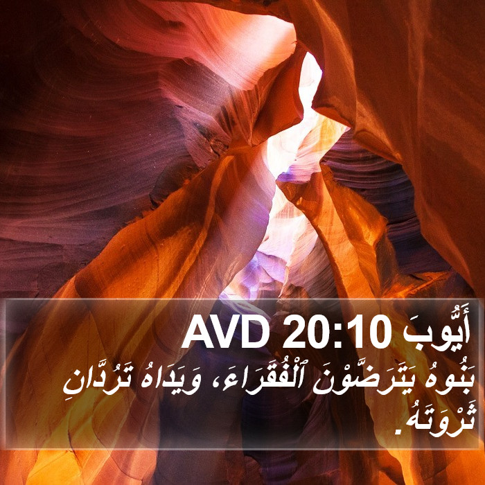 أَيُّوبَ 20:10 AVD Bible Study