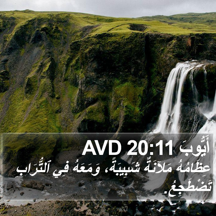 أَيُّوبَ 20:11 AVD Bible Study