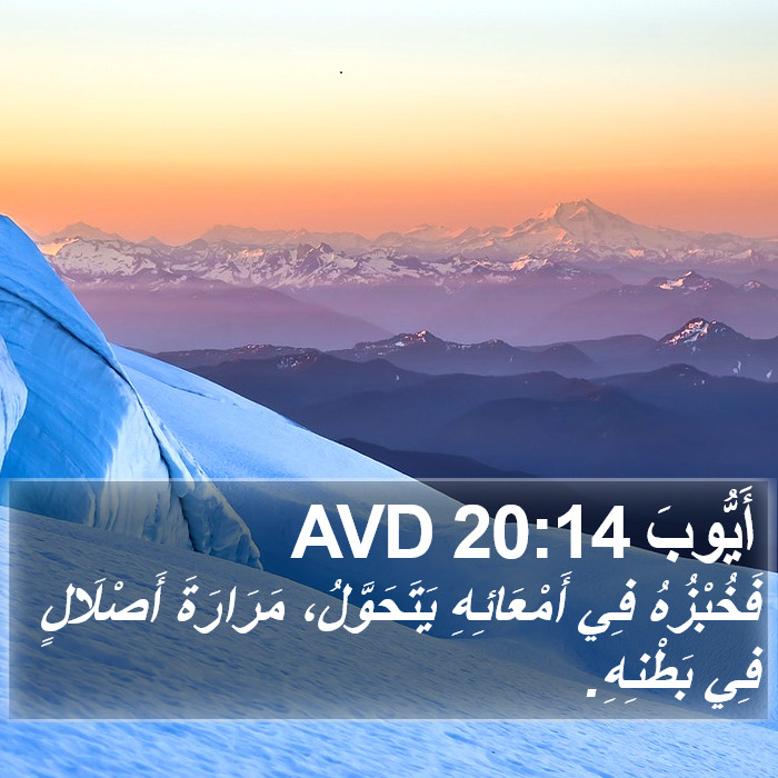 أَيُّوبَ 20:14 AVD Bible Study