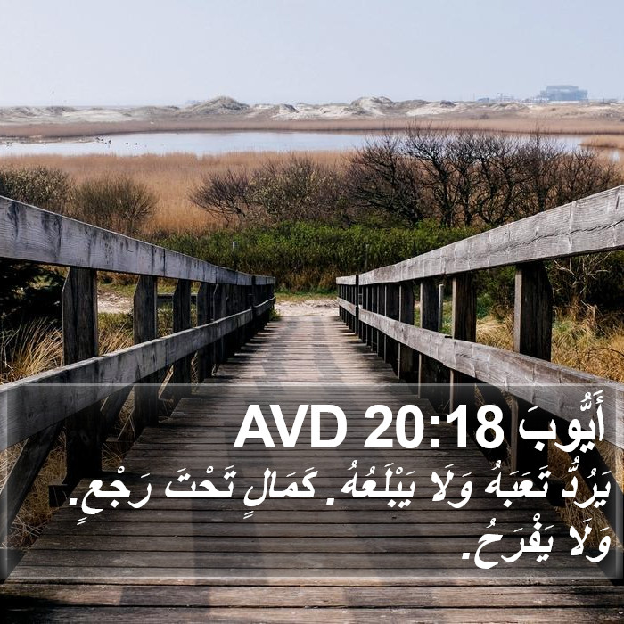 أَيُّوبَ 20:18 AVD Bible Study