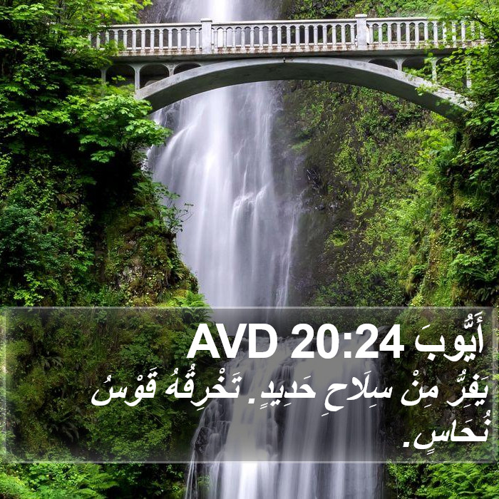 أَيُّوبَ 20:24 AVD Bible Study