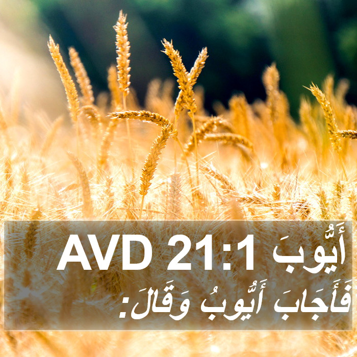 أَيُّوبَ 21:1 AVD Bible Study
