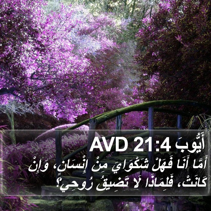 أَيُّوبَ 21:4 AVD Bible Study
