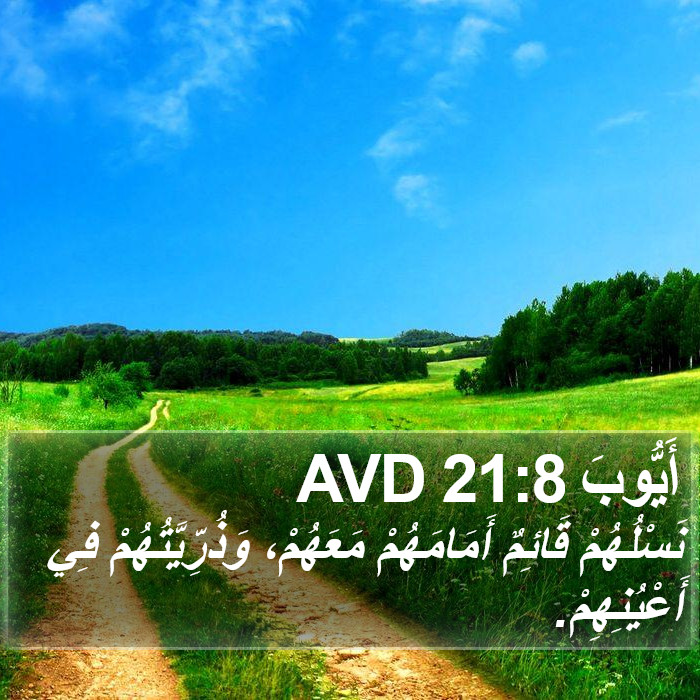 أَيُّوبَ 21:8 AVD Bible Study