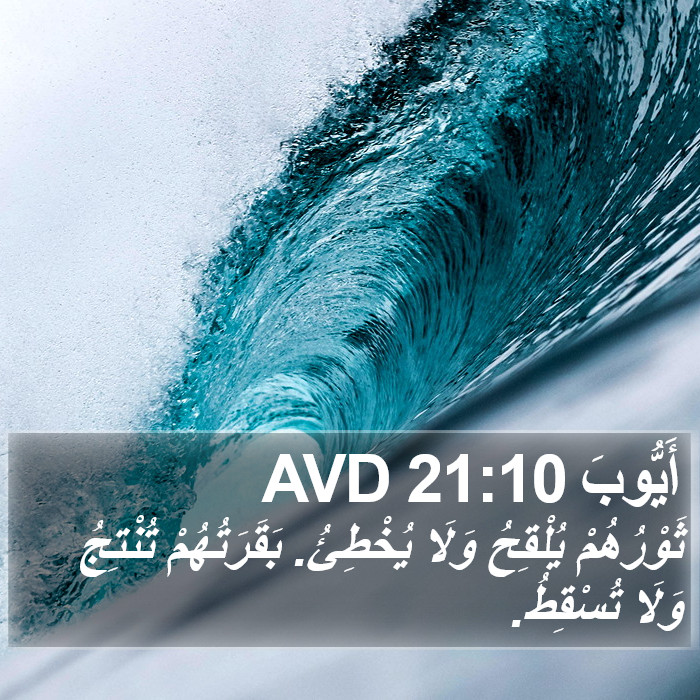 أَيُّوبَ 21:10 AVD Bible Study