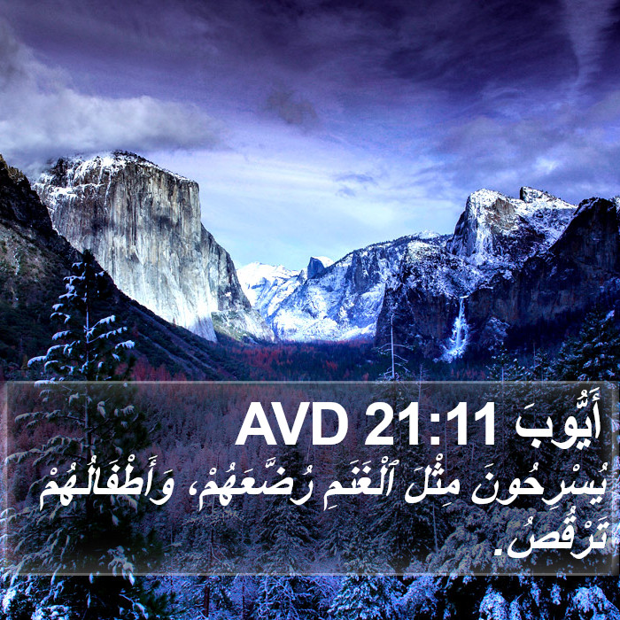 أَيُّوبَ 21:11 AVD Bible Study