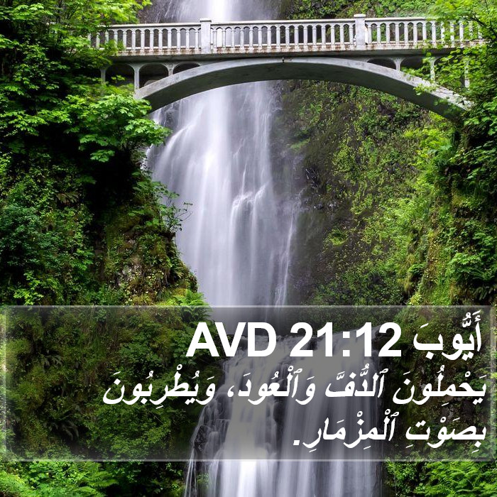 أَيُّوبَ 21:12 AVD Bible Study