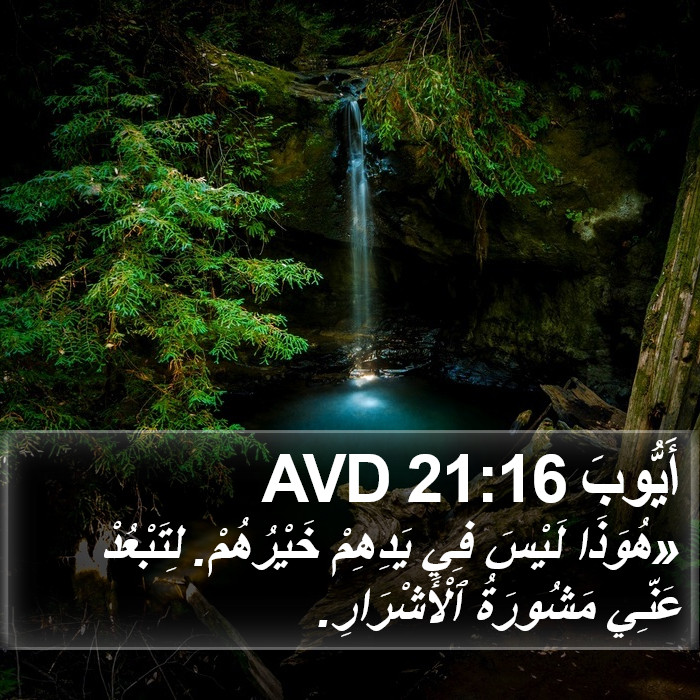 أَيُّوبَ 21:16 AVD Bible Study