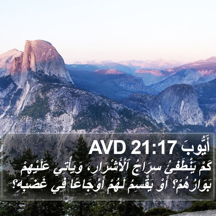 أَيُّوبَ 21:17 AVD Bible Study