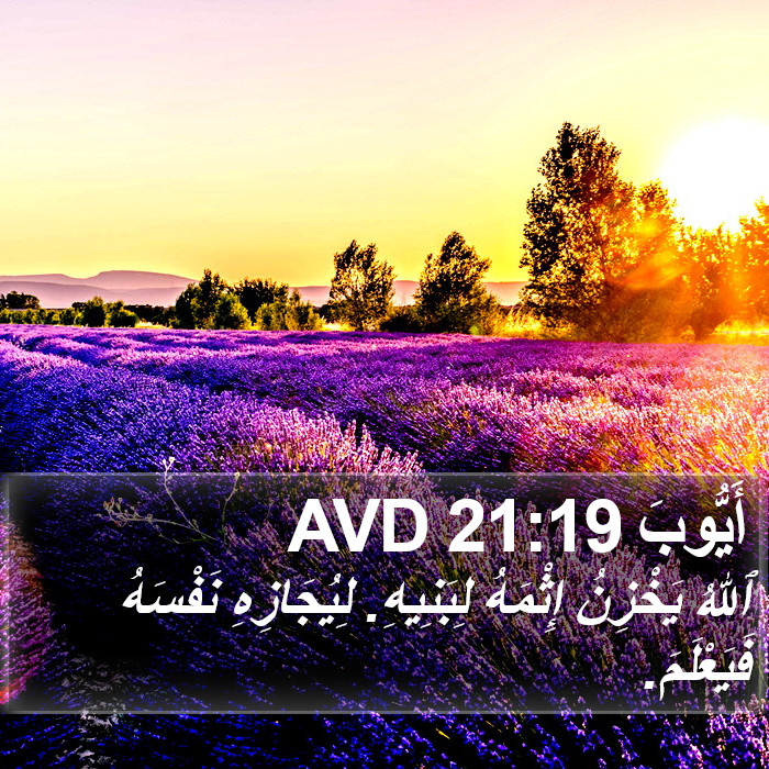 أَيُّوبَ 21:19 AVD Bible Study