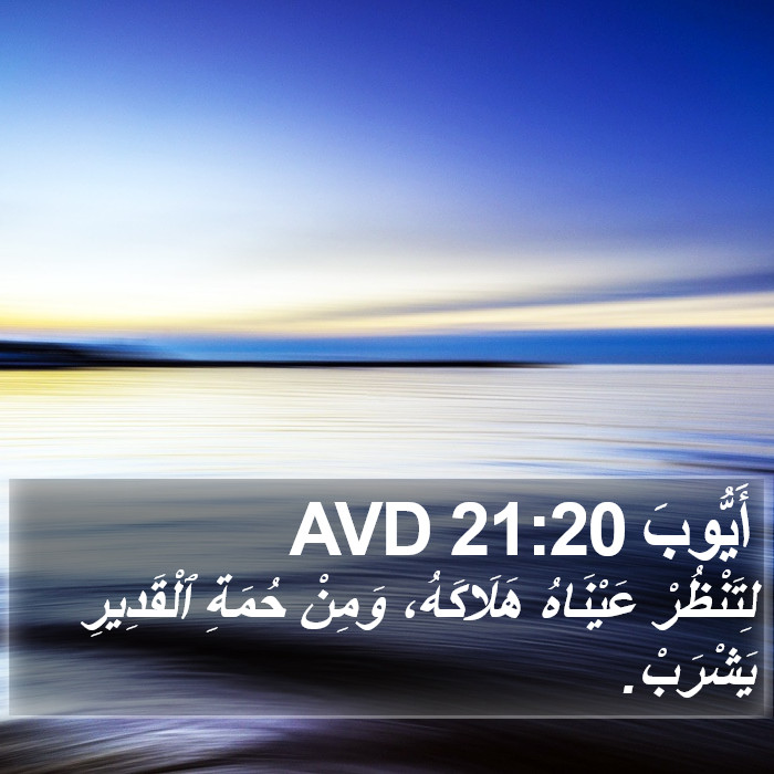 أَيُّوبَ 21:20 AVD Bible Study