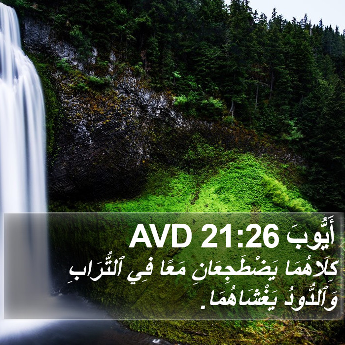 أَيُّوبَ 21:26 AVD Bible Study