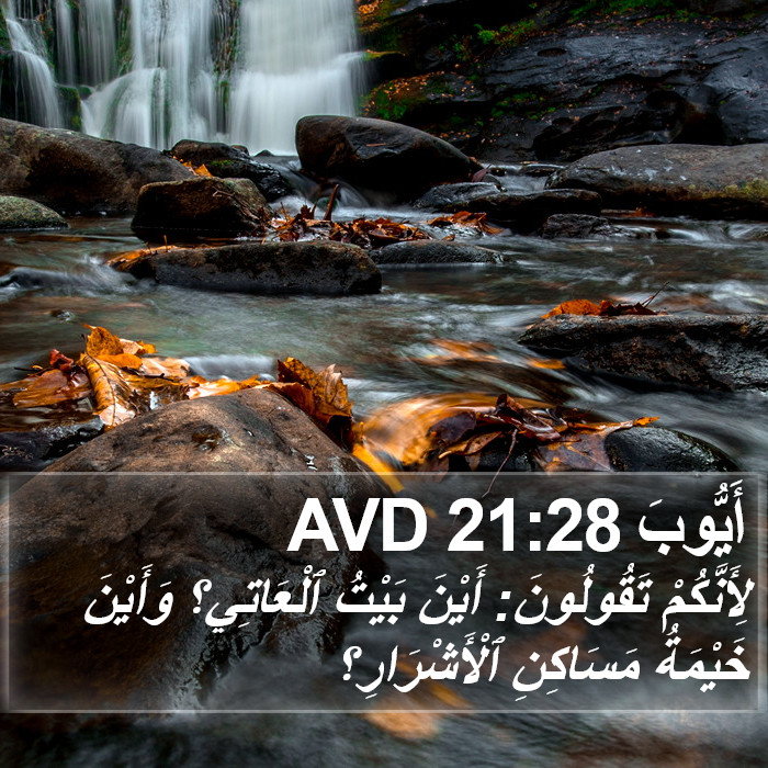 أَيُّوبَ 21:28 AVD Bible Study