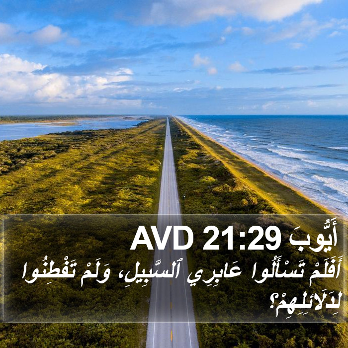 أَيُّوبَ 21:29 AVD Bible Study