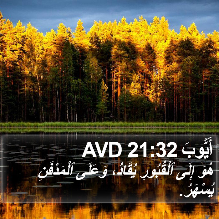 أَيُّوبَ 21:32 AVD Bible Study