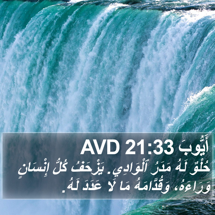 أَيُّوبَ 21:33 AVD Bible Study