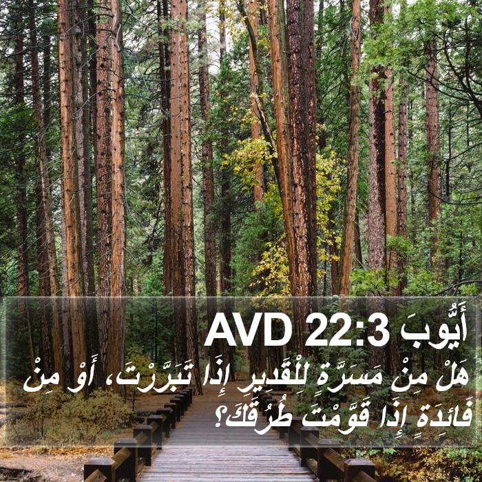 أَيُّوبَ 22:3 AVD Bible Study