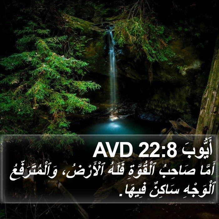 أَيُّوبَ 22:8 AVD Bible Study