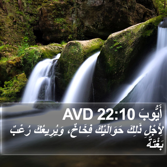 أَيُّوبَ 22:10 AVD Bible Study