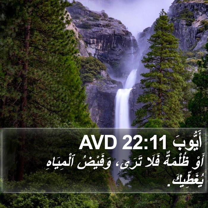 أَيُّوبَ 22:11 AVD Bible Study