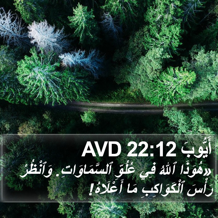 أَيُّوبَ 22:12 AVD Bible Study