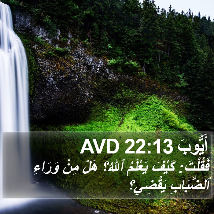 أَيُّوبَ 22:13 AVD Bible Study