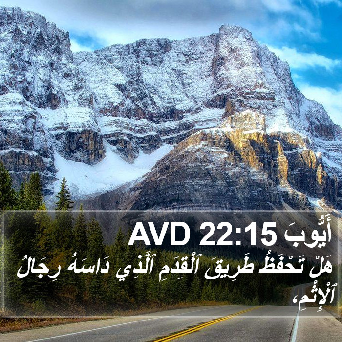 أَيُّوبَ 22:15 AVD Bible Study