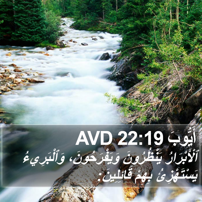 أَيُّوبَ 22:19 AVD Bible Study