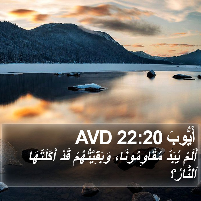 أَيُّوبَ 22:20 AVD Bible Study