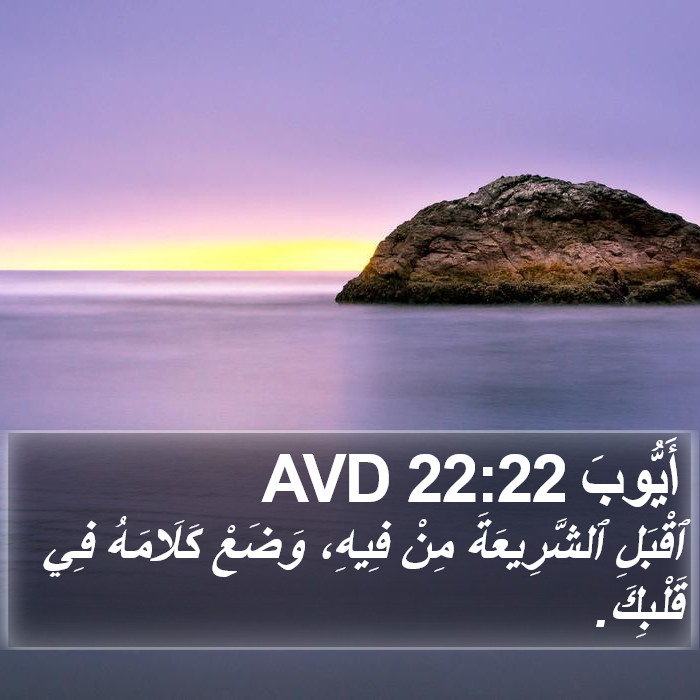 أَيُّوبَ 22:22 AVD Bible Study