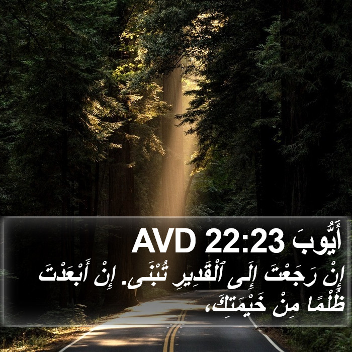 أَيُّوبَ 22:23 AVD Bible Study