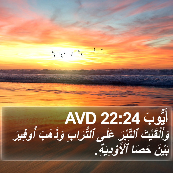 أَيُّوبَ 22:24 AVD Bible Study