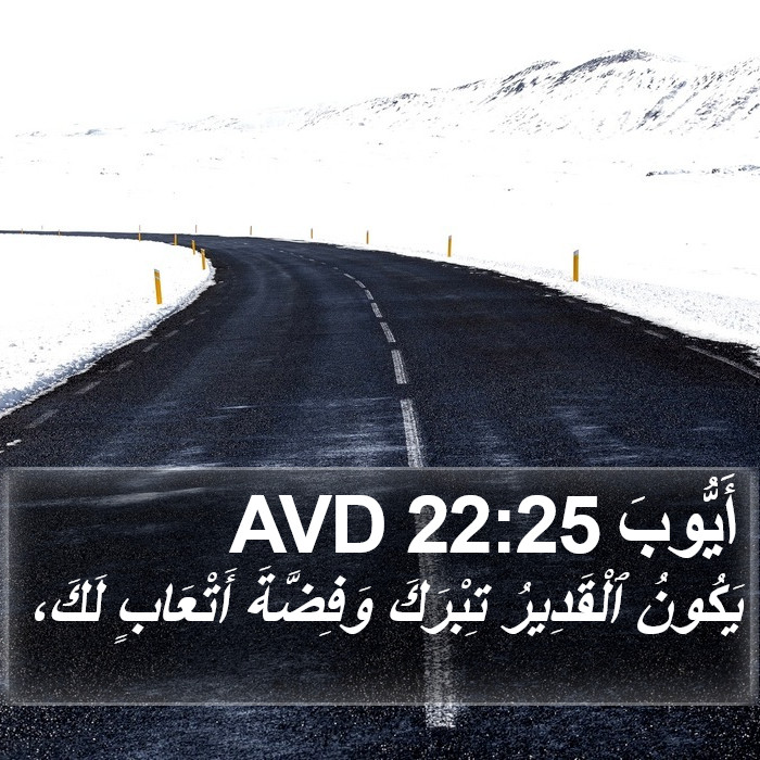 أَيُّوبَ 22:25 AVD Bible Study