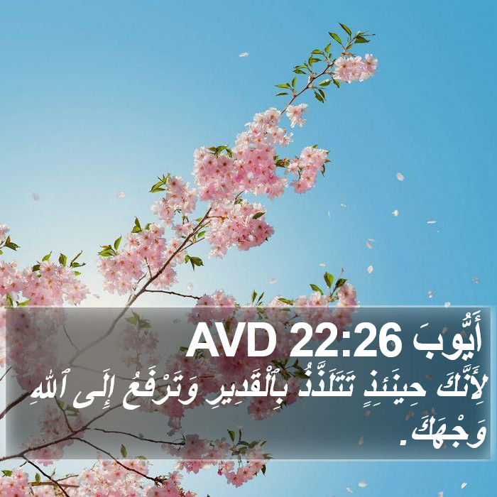 أَيُّوبَ 22:26 AVD Bible Study