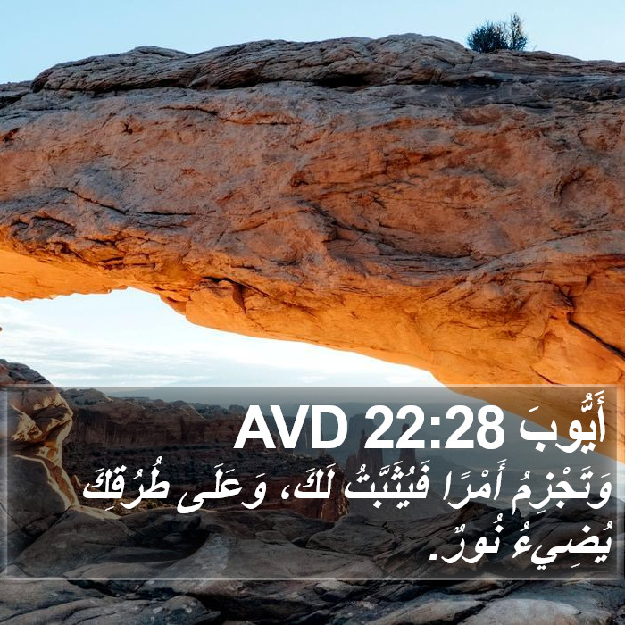 أَيُّوبَ 22:28 AVD Bible Study