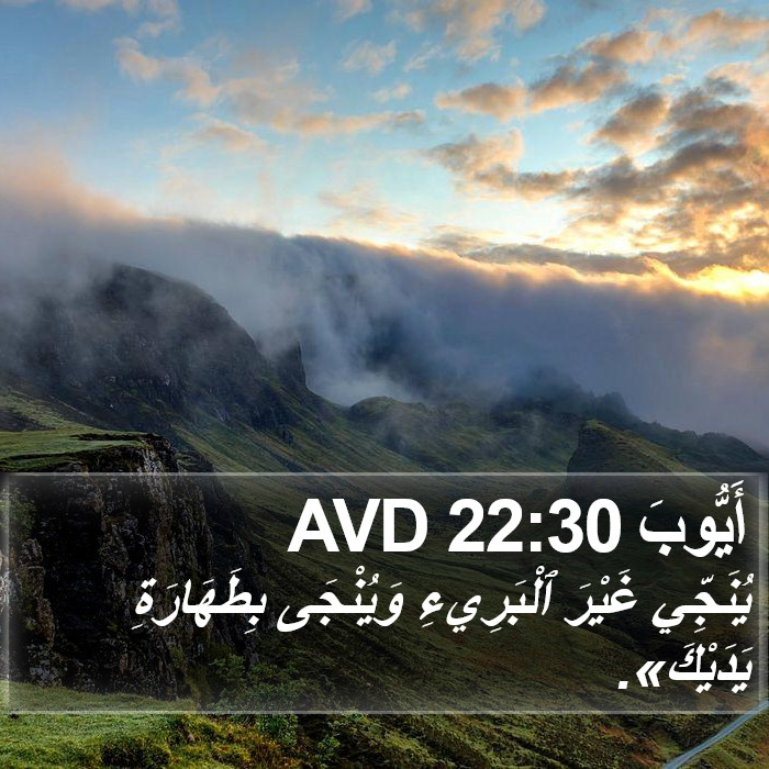 أَيُّوبَ 22:30 AVD Bible Study