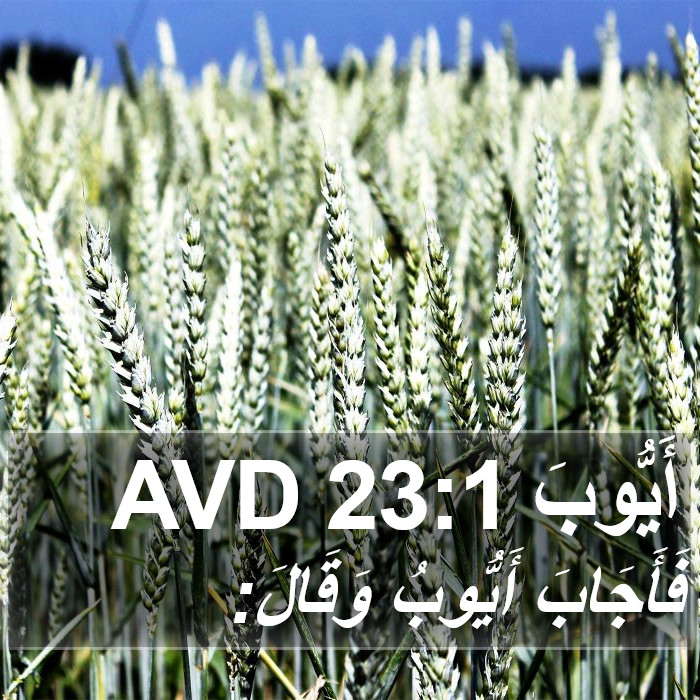 أَيُّوبَ 23:1 AVD Bible Study