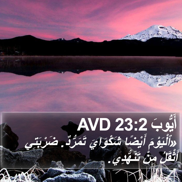 أَيُّوبَ 23:2 AVD Bible Study