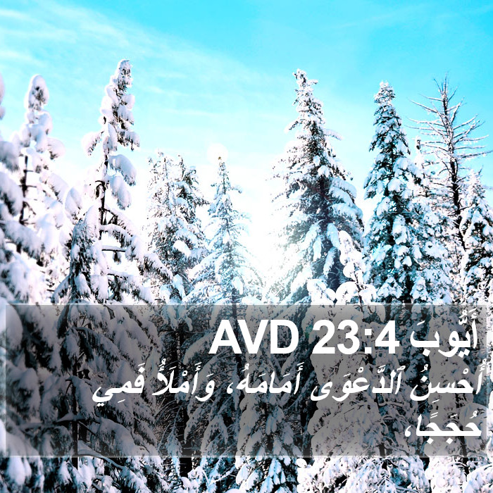 أَيُّوبَ 23:4 AVD Bible Study