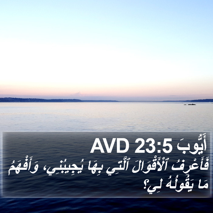 أَيُّوبَ 23:5 AVD Bible Study