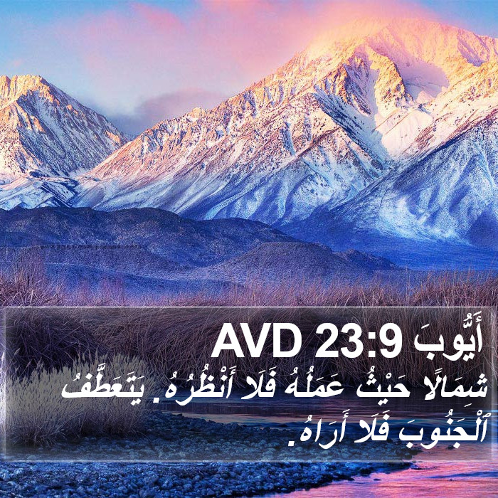 أَيُّوبَ 23:9 AVD Bible Study