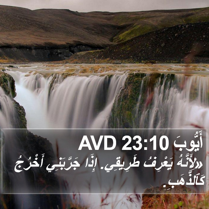 أَيُّوبَ 23:10 AVD Bible Study