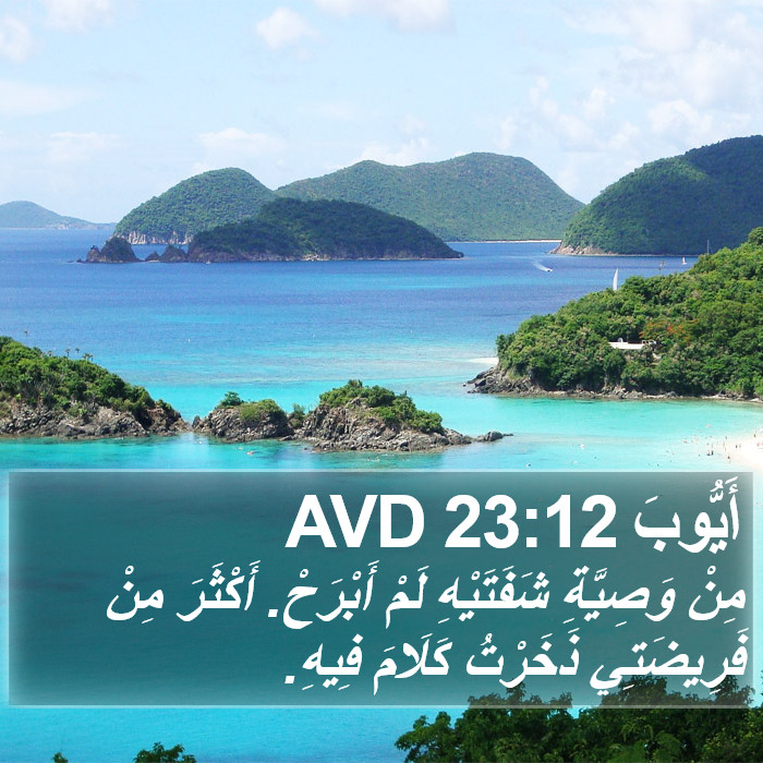 أَيُّوبَ 23:12 AVD Bible Study