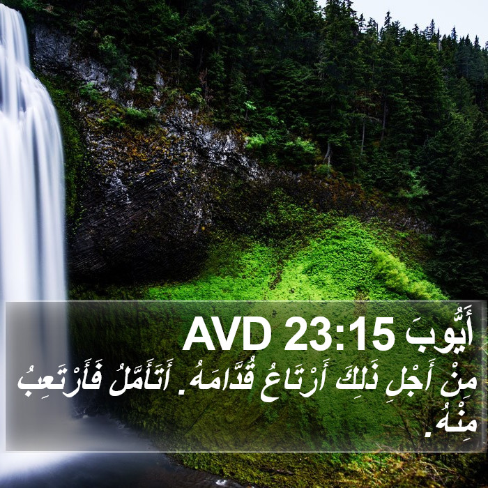 أَيُّوبَ 23:15 AVD Bible Study