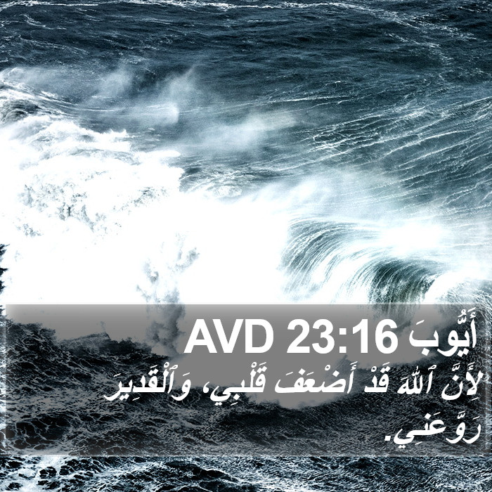 أَيُّوبَ 23:16 AVD Bible Study